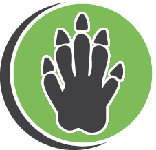 TJs Feral Pig Removal