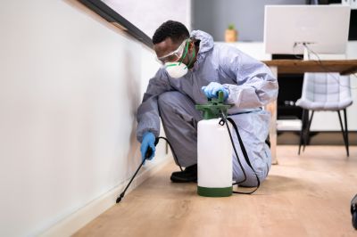 Residential Pest Control in Frisco, TX