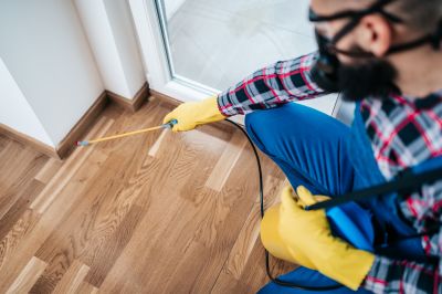 Spider Control Service in Katy, TX