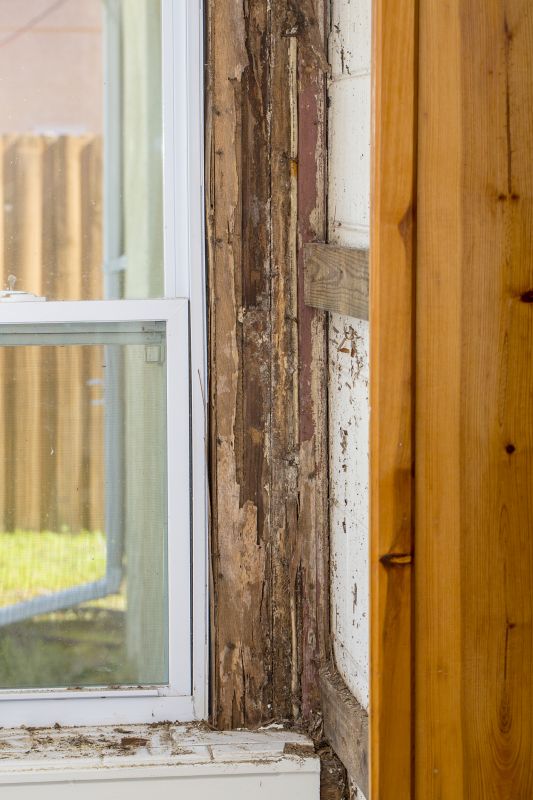 Wdo Inspection Service in Frisco, TX